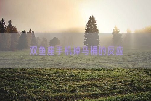 双鱼座手机掉马桶的反应(图1)