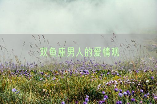 双鱼座男人的爱情观(图1)