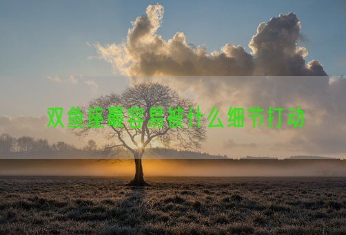 双鱼座最容易被什么细节打动(图1)