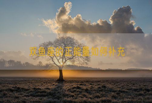 双鱼座的正能量如何补充(图1)