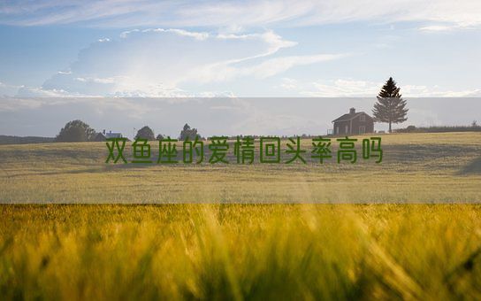 双鱼座的爱情回头率高吗(图1)