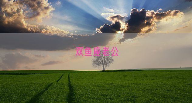 双鱼座老公(图1)