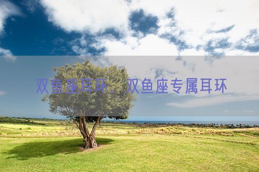 双鱼座耳环，双鱼座专属耳环(图1)