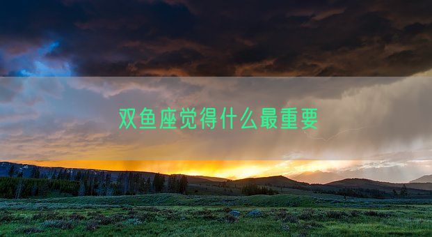 双鱼座觉得什么最重要(图1)