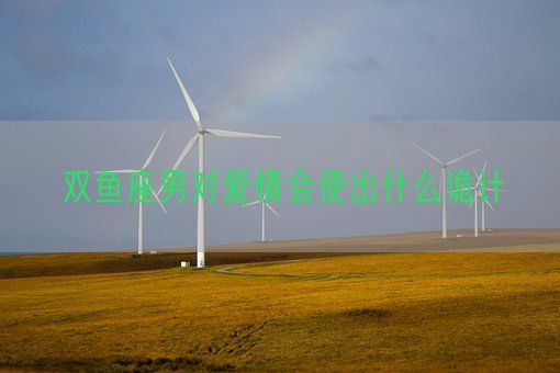 双鱼座男对爱情会使出什么诡计(图1)