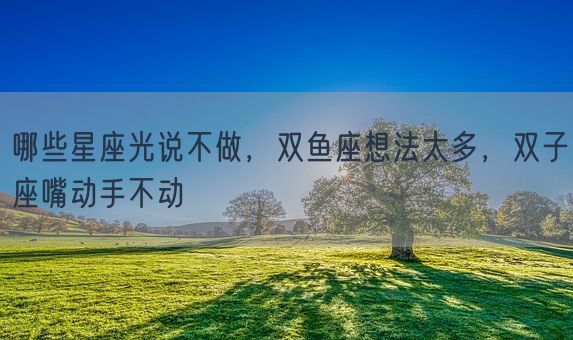 哪些星座光说不做，双鱼座想法太多，双子座嘴动手不动(图1)