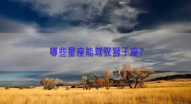 哪些星座能驾驭狮子座？(图1)