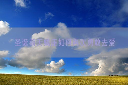 圣诞前天蝎座如何再次勇敢去爱(图1)