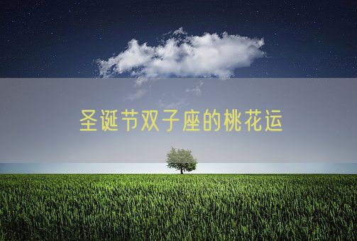 圣诞节双子座的桃花运(图1) 圣诞节双子座的桃花运(图1)