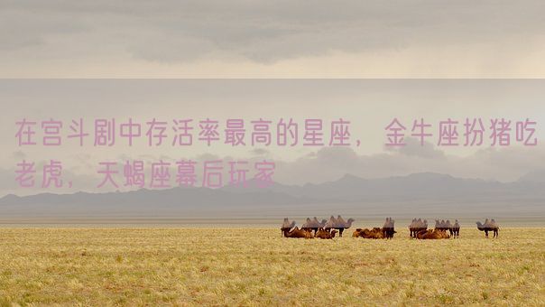 在宫斗剧中存活率最高的星座,金牛座扮猪吃老虎,天蝎座幕后玩家(图1) 在宫斗剧中存活率最高的星座,金牛座扮猪吃老虎,天蝎座幕后玩家(图1)