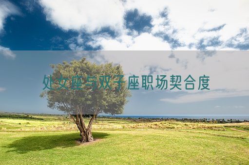 处女座与双子座职场契合度(图1) 处女座与双子座职场契合度(图1)