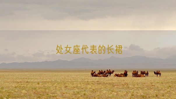 处女座代表的长裙(图1) 处女座代表的长裙(图1)