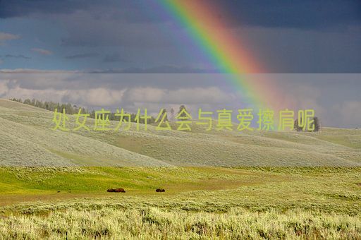 处女座为什么会与真爱擦肩呢(图1) 处女座为什么会与真爱擦肩呢(图1)