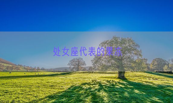 处女座代表的果冻(图1) 处女座代表的果冻(图1)