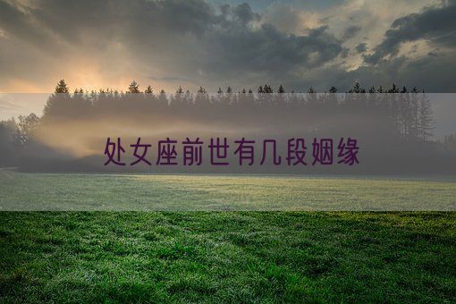 处女座前世有几段姻缘(图1) 处女座前世有几段姻缘(图1)