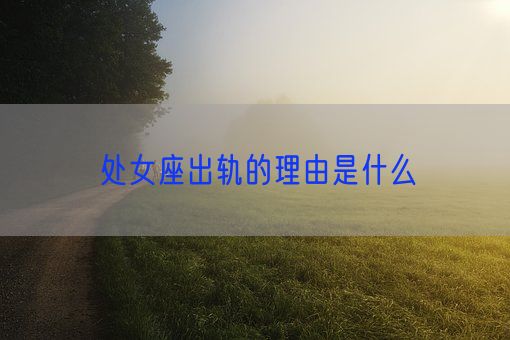 处女座出轨的理由是什么(图1) 处女座出轨的理由是什么(图1)