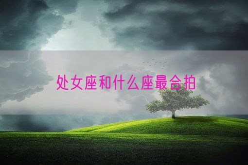 处女座和什么座最合拍(图1) 处女座和什么座最合拍(图1)