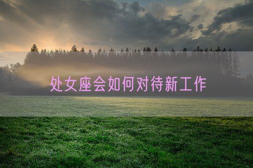 处女座会如何对待新工作(图1) 处女座会如何对待新工作(图1)