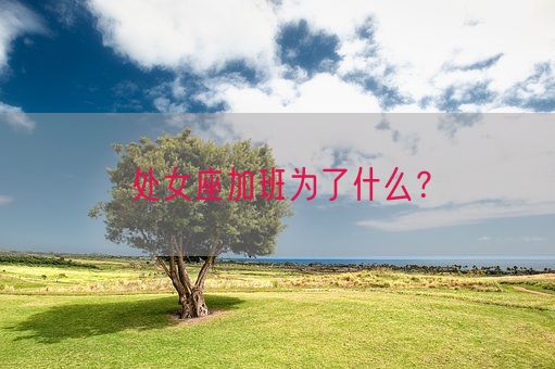 处女座加班为了什么?(图1) 处女座加班为了什么?(图1)