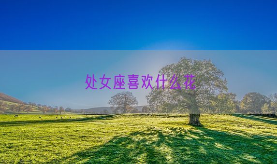处女座喜欢什么花(图1) 处女座喜欢什么花(图1)