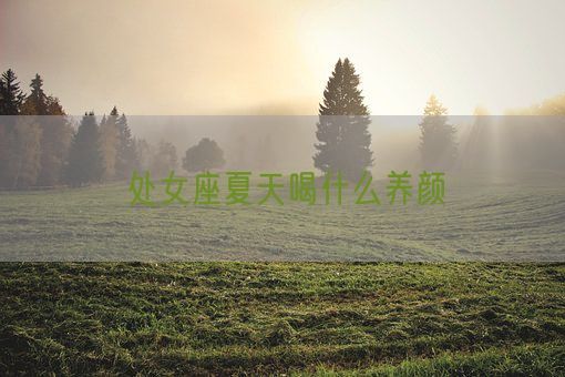 处女座夏天喝什么养颜(图1) 处女座夏天喝什么养颜(图1)