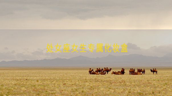 处女座女生专属化妆盒(图1) 处女座女生专属化妆盒(图1)