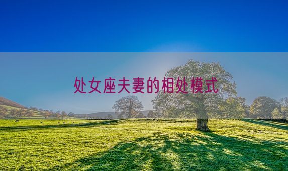 处女座夫妻的相处模式(图1) 处女座夫妻的相处模式(图1)