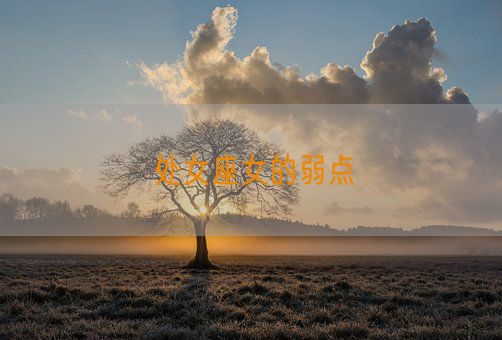 处女座女的弱点(图1)