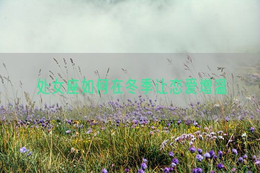 处女座如何在冬季让恋爱增温(图1) 处女座如何在冬季让恋爱增温(图1)