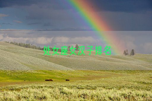 处女座女汉子排名(图1) 处女座女汉子排名(图1)