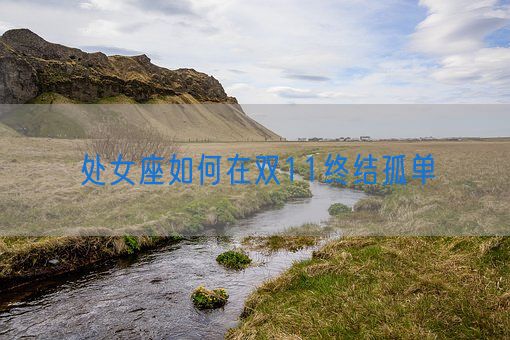 处女座如何在双11终结孤单(图1)