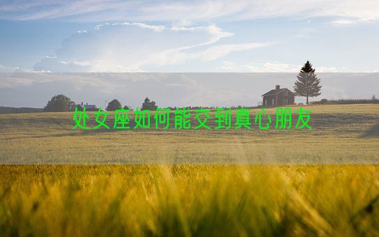 处女座如何能交到真心朋友(图1) 处女座如何能交到真心朋友(图1)