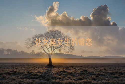 处女座女生的暗恋(图1)