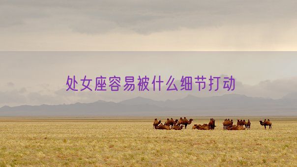 处女座容易被什么细节打动(图1) 处女座容易被什么细节打动(图1)