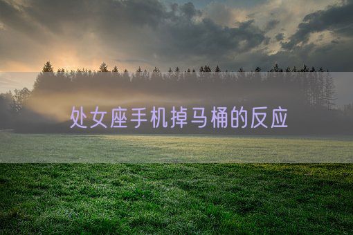 处女座手机掉马桶的反应(图1) 处女座手机掉马桶的反应(图1)