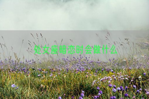处女座暗恋时会做什么(图1) 处女座暗恋时会做什么(图1)
