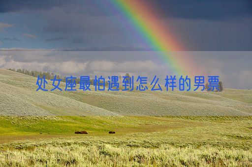 处女座最怕遇到怎么样的男票(图1) 处女座最怕遇到怎么样的男票(图1)