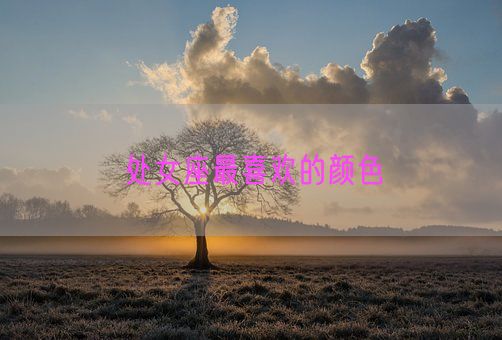 处女座最喜欢的颜色(图1) 处女座最喜欢的颜色(图1)
