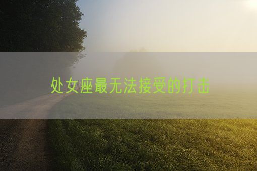 处女座最无法接受的打击(图1) 处女座最无法接受的打击(图1)