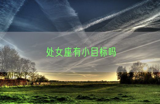 处女座有小目标吗(图1) 处女座有小目标吗(图1)