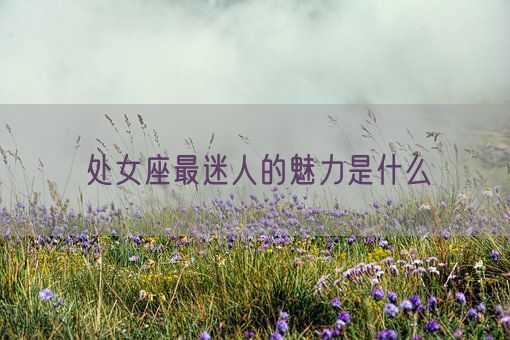 处女座最迷人的魅力是什么(图1) 处女座最迷人的魅力是什么(图1)
