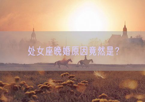 处女座晚婚原因竟然是？(图1)