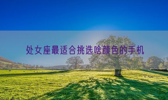 处女座最适合挑选啥颜色的手机(图1) 处女座最适合挑选啥颜色的手机(图1)