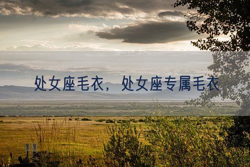 处女座毛衣，处女座专属毛衣(图1)