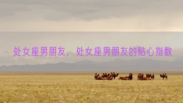 处女座男朋友,处女座男朋友的贴心指数(图1) 处女座男朋友,处女座男朋友的贴心指数(图1)