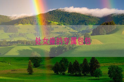 处女座的专属包包(图1) 处女座的专属包包(图1)