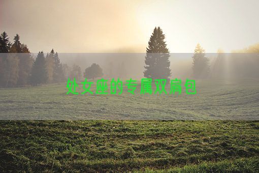 处女座的专属双肩包(图1) 处女座的专属双肩包(图1)