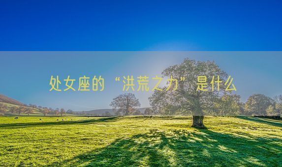 处女座的“洪荒之力”是什么(图1) 处女座的“洪荒之力”是什么(图1)