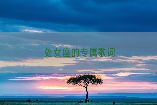 处女座的专属歌词(图1) 处女座的专属歌词(图1)