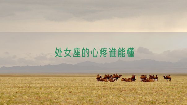 处女座的心疼谁能懂(图1) 处女座的心疼谁能懂(图1)